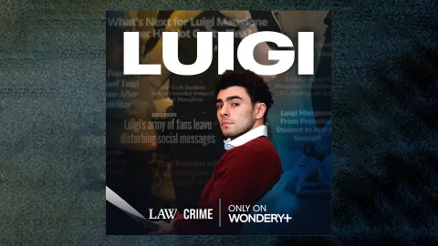 Law & Crime: Luigi — key art